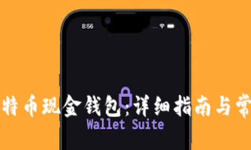 如何下载比特币现金钱包：详细指南与常见问题解答