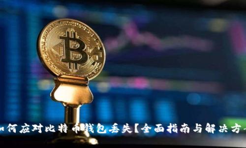 如何应对比特币钱包丢失？全面指南与解决方案