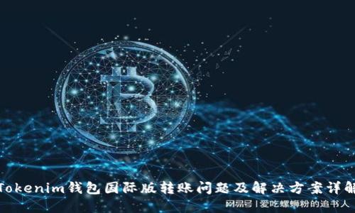 Tokenim钱包国际版转账问题及解决方案详解