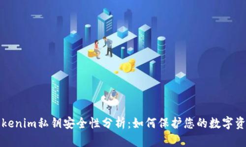 Tokenim私钥安全性分析：如何保护您的数字资产