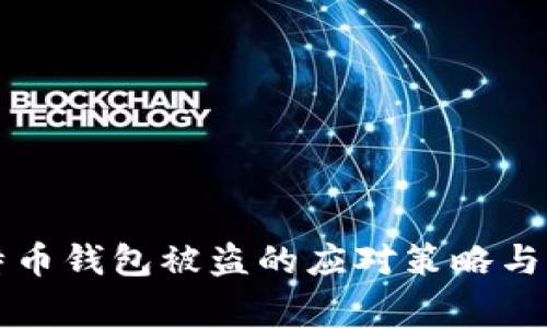 币赢比特币钱包被盗的应对策略与预防措施