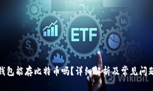 数字钱包能存比特币吗？详细解析及常见问题解答