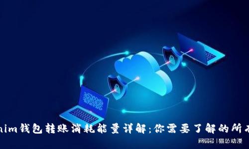 Tokenim钱包转账消耗能量详解：你需要了解的所有信息