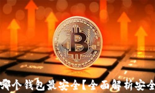 
比特币存哪个钱包最安全？全面解析安全钱包选择