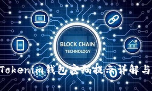 ### TokenTokenim钱包密码提示详解与常见问题解答