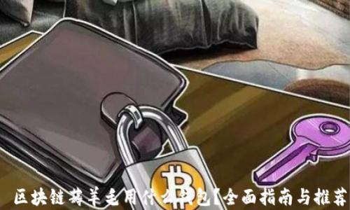 
 区块链薅羊毛用什么钱包？全面指南与推荐