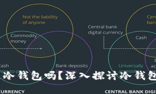 USDT充币地址可以是冷钱包吗？深入探讨冷钱包的安全性与使用方法