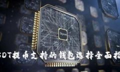 USDT提币支持的钱包选择全