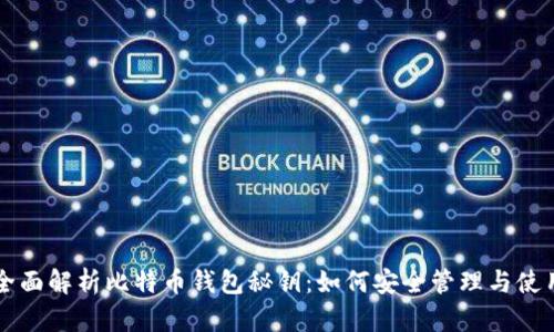 全面解析比特币钱包秘钥：如何安全管理与使用