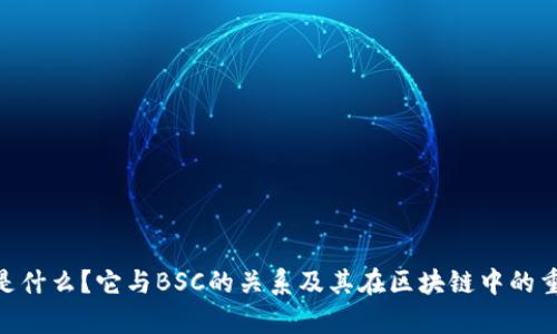 Tokenim是什么？它与BSC的关系及其在区块链中的重要性分析