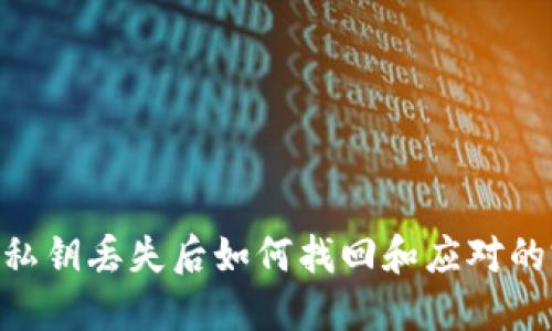 Tokenim私钥丢失后如何找回和应对的完整指南