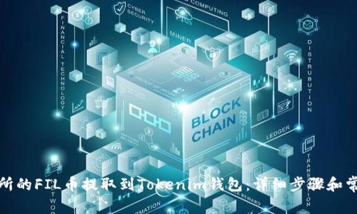 如何将交易所的FIL币提取到Tokenim钱包：详细步骤和常见问题解答