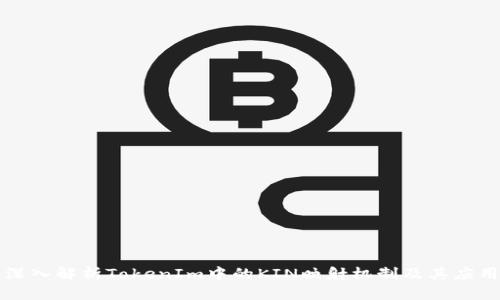 深入解析TokenIm中的KIN映射机制及其应用