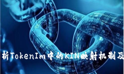 深入解析TokenIm中的KIN映射机制及其应用
