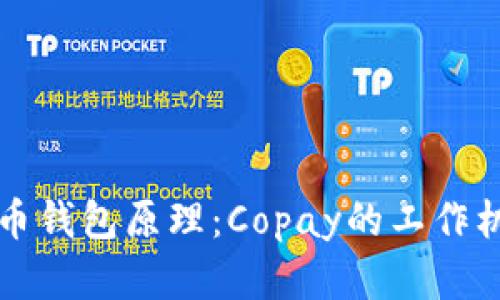 深入了解比特币钱包原理：Copay的工作机制与使用指南