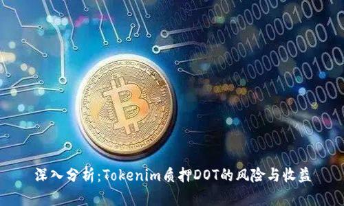 深入分析：Tokenim质押DOT的风险与收益
