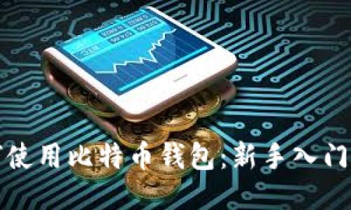 如何使用比特币钱包：新手入门指南