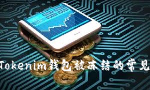 如何解决TokenTokenim钱包被冻结的常见问题及处理方法