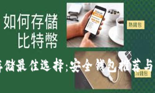 比特币存储最佳选择：安全钱包推荐与风险分析