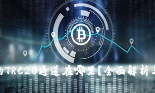 Tokenim的TRC20通道在哪里？全面解析与使用指南