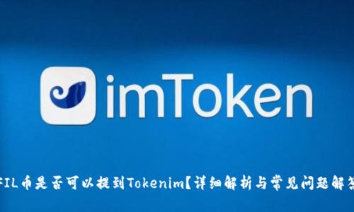 FIL币是否可以提到Tokenim？详细解析与常见问题解答