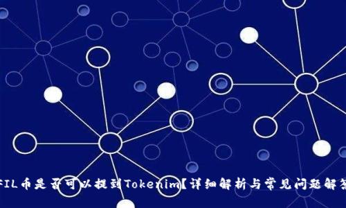 FIL币是否可以提到Tokenim？详细解析与常见问题解答