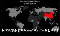 如何观察和管理TokenTokenIm钱包地址？