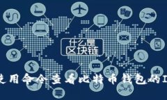 如何使用命令查看比特币钱包的IP地址