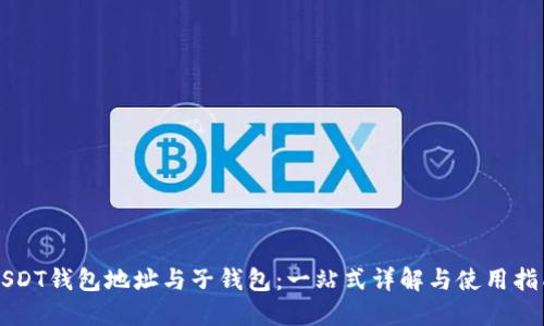 USDT钱包地址与子钱包：一站式详解与使用指南