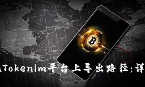 如何在Tokenim平台上导出路径：详细指南