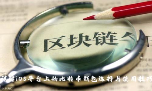 详解iOS平台上的比特币钱包选择与使用技巧