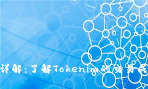 Tokenim费用详解：了解Tokenim的交易成本与费用结构