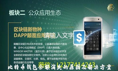 
比特币钱包余额消失的原因及解决方案