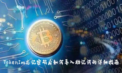 TokenIm忘记密码后如何导入助记词的详细指南