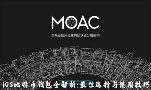 
iOS比特币钱包全解析：最佳选择与使用技巧