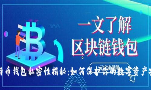 比特币钱包私密性揭秘：如何保护你的数字资产安全