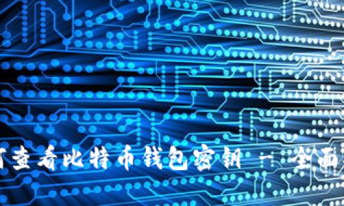 如何查看比特币钱包密钥 - 全面指南