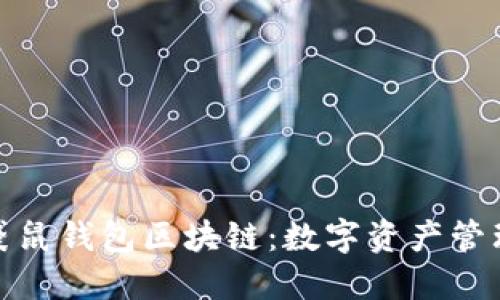 深入探讨袋鼠钱包区块链：数字资产管理的新革命