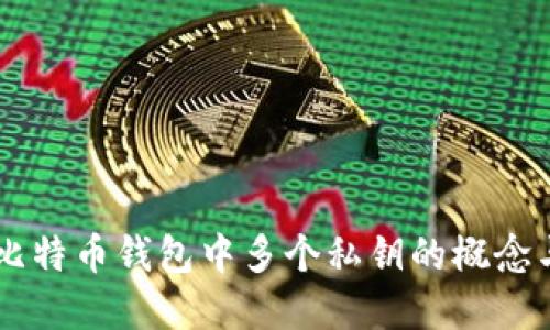了解比特币钱包中多个私钥的概念与管理