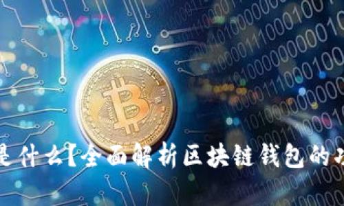 区块链钱包是什么？全面解析区块链钱包的功能与安全性