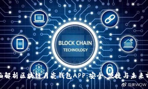 全面解析区块链月亮钱包APP：安全、便捷与未来前景