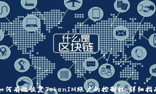 
如何有效恢复TokenIM账户的控制权：详细指南