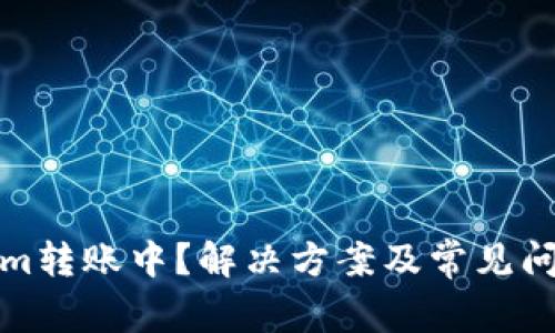 Tokenim转账中？解决方案及常见问题解析