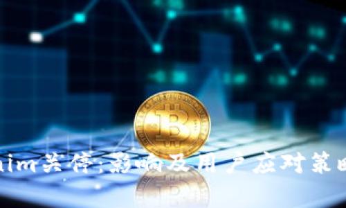 Tokenim关停：影响及用户应对策略分析