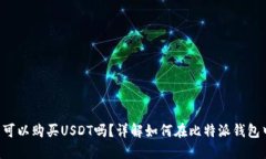 比特派钱包可以购买USDT吗