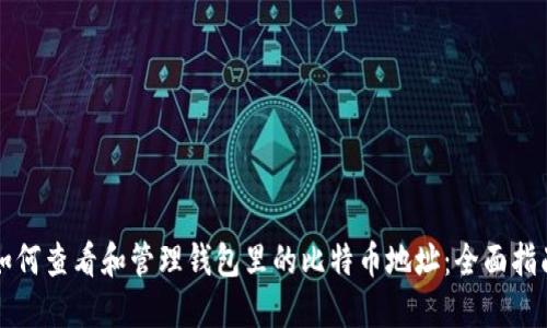 如何查看和管理钱包里的比特币地址：全面指南