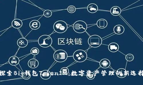 探索Big钱包TokenIM：数字资产管理的新选择