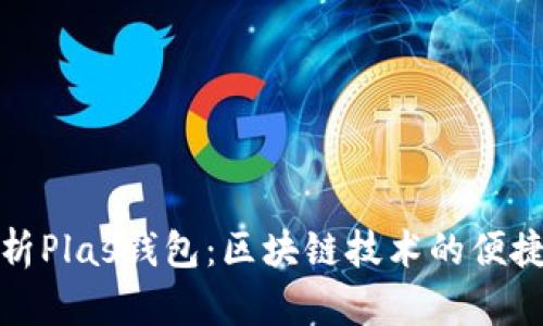 全面解析Plas钱包：区块链技术的便捷与安全