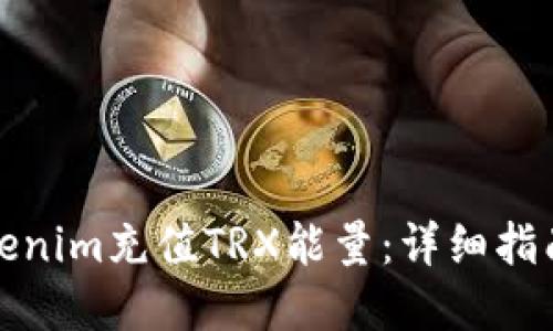 如何通过Tokenim充值TRX能量：详细指南及实用技巧