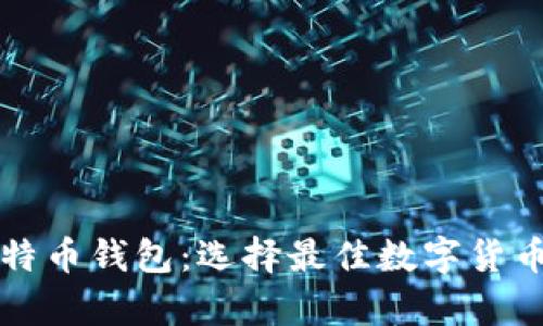 全球最热门的比特币钱包：选择最佳数字货币存储工具的指南